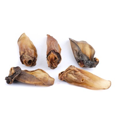 KH Sušené hovädzie ucho 1ks